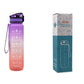 HydroPulse™ 1L Motivational Water Bottle - Leakproof with Time Marker & Bounce Cover - Thecoolix