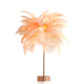 Remote Feather Lamp Night Light Decoration Thecoolix