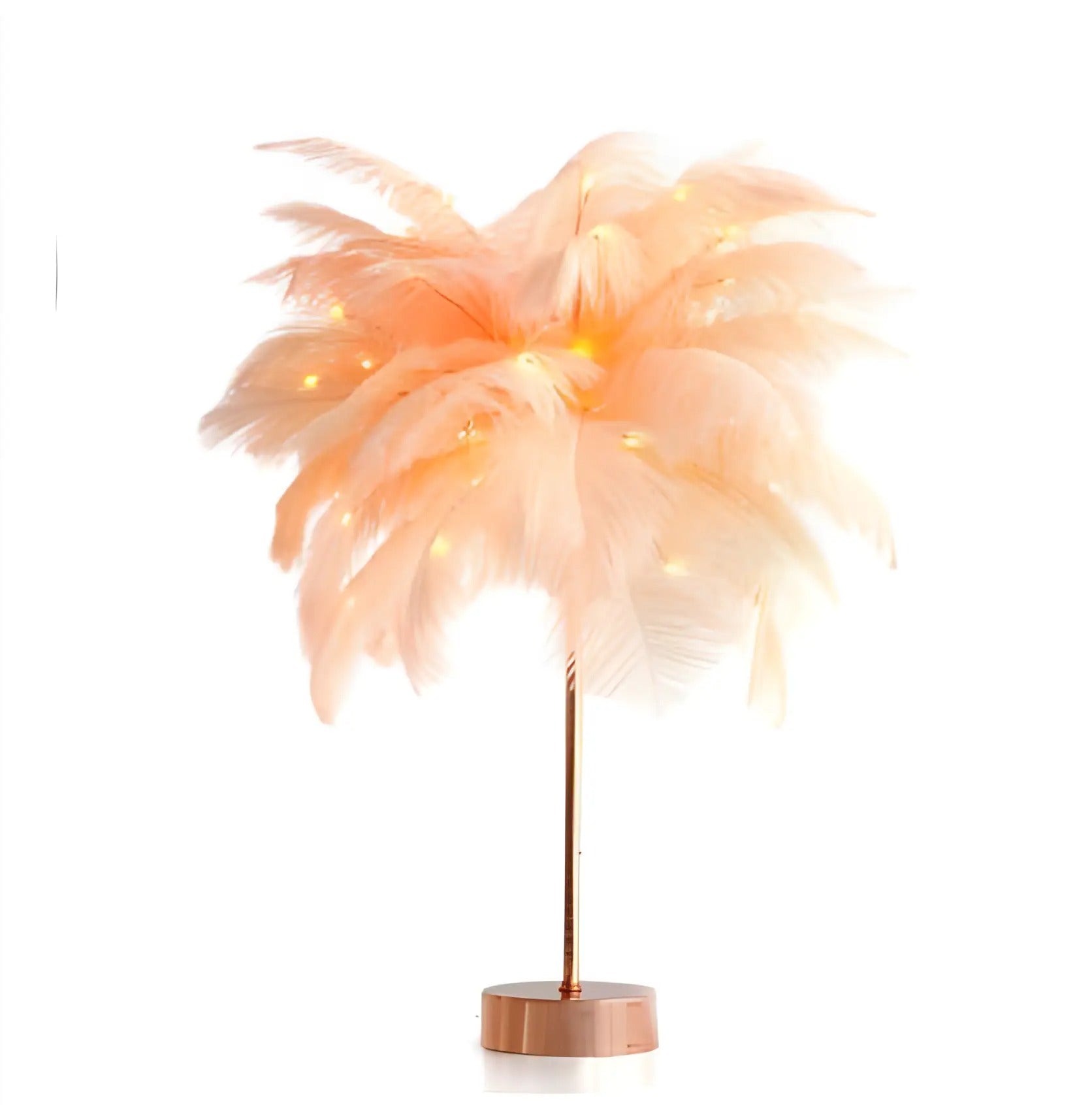 Remote Feather Lamp Night Light Decoration Thecoolix